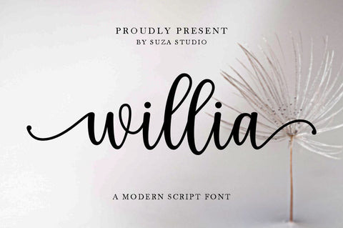 Willia Font Suza Studio 