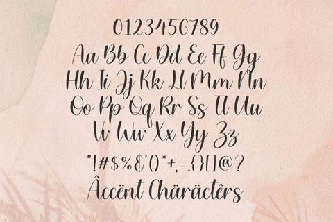 Willow Eden Modern Handwritten Font Font Balpirick 