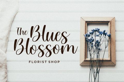 Willow Eden Modern Handwritten Font Font Balpirick 