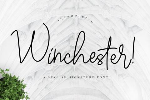 Winchester Signature Script Font Creatype Studio 