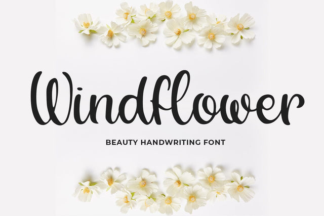 Windflower Font Abo Daniel Studio 