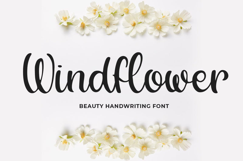 Windflower Font Abo Daniel Studio 