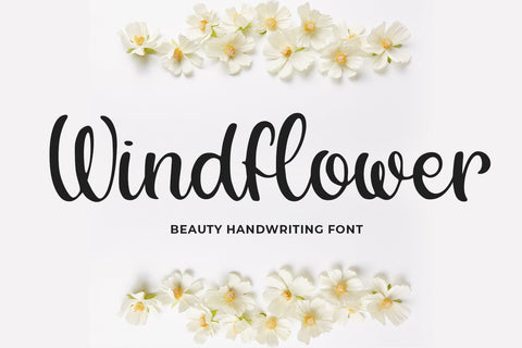 Windflower Font Abo Daniel Studio 