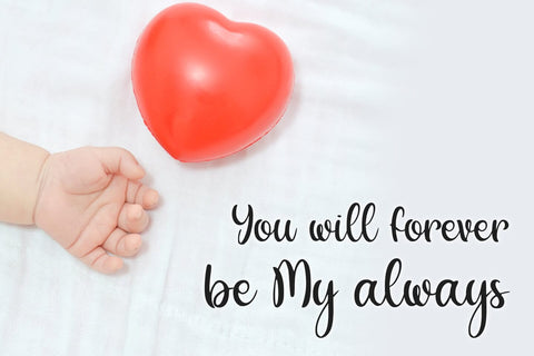 Windflower Font Abo Daniel Studio 