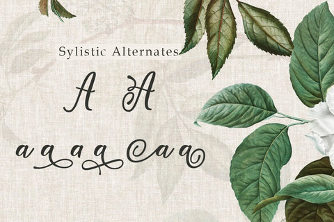 Window Font Madatype Studio 