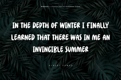 Windsurf - Playful Display Font Font Alpaprana Studio 
