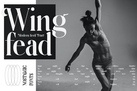 Wingfead Typeface Font Storytype Studio 