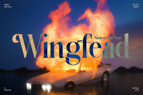 Wingfead Typeface Font Storytype Studio 
