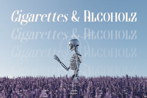 Wingfead Typeface Font Storytype Studio 