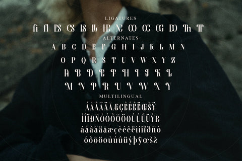 Wingfead Typeface Font Storytype Studio 