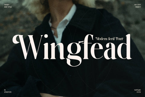 Wingfead Typeface Font Storytype Studio 