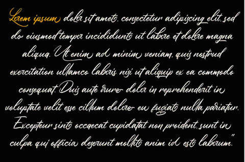 Winsberg Font Garisman Studio 