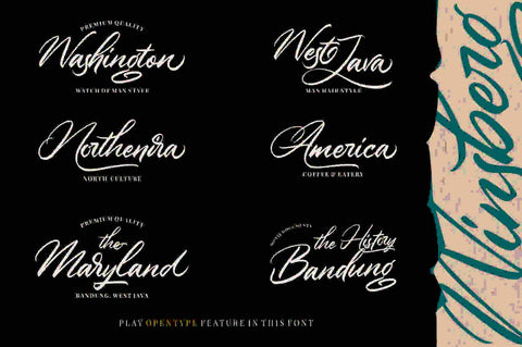 Winsberg Font Garisman Studio 