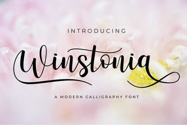 Winstonia Font Madatype Studio 
