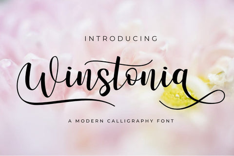 Winstonia Font Madatype Studio 