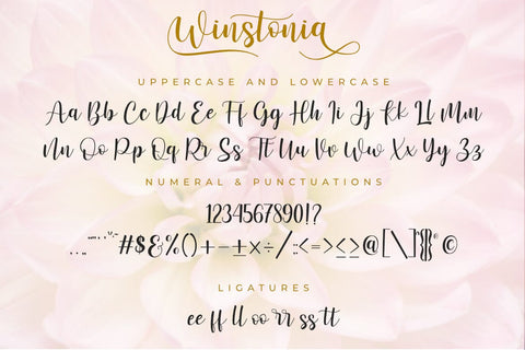 Winstonia Font Madatype Studio 
