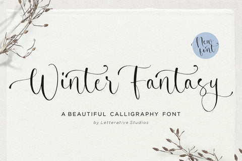 Winter Fantasy Beautiful Calligraphy Font Font Letterative 