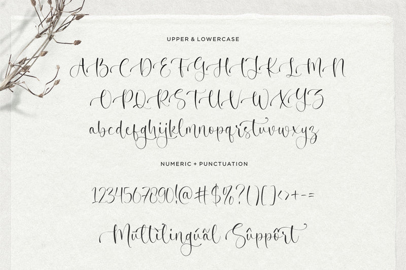 Winter Fantasy Beautiful Calligraphy Font - So Fontsy