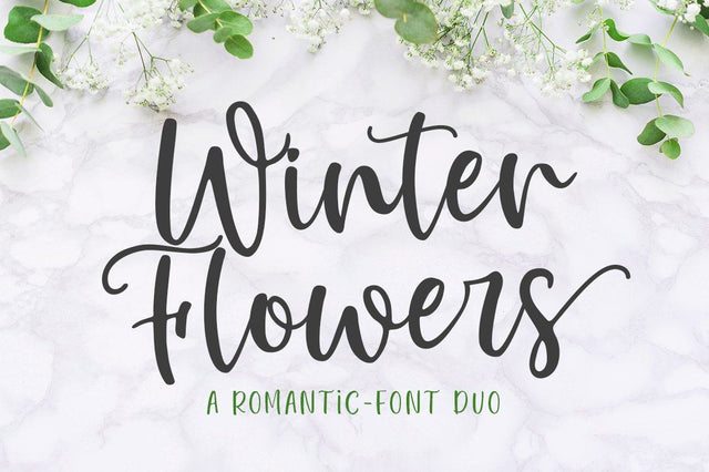 Winter Flowers - Font Duo Font Great Studio 