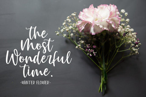 Winter Flowers - Font Duo Font Great Studio 