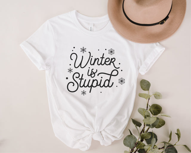 Winter is stupid svg, Funny winter svg, Winter Problems svg, Winter svg, I Hate Winter svg, Winter is Coming svg, Cold Outside svg, png dxf SVG Fauz 