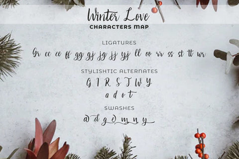 Winter Love Font Madatype Studio 