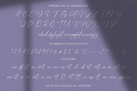 Winter Raya - Signature Font Font StringLabs 