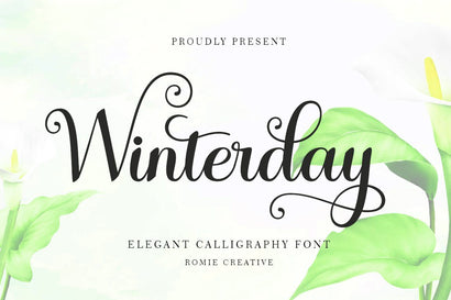 Winterday - Elegant Calligraphy font Font RomieStudio 