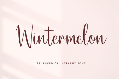 Wintermelon Font Abo Daniel Studio 
