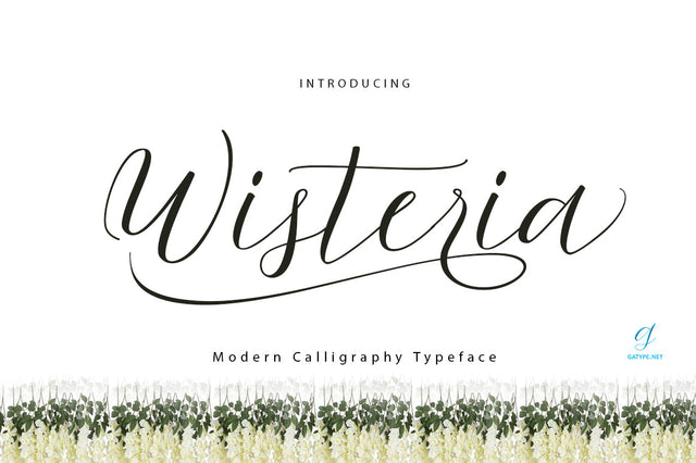 Wisteria Font gatype 