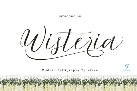 Wisteria Font gatype 