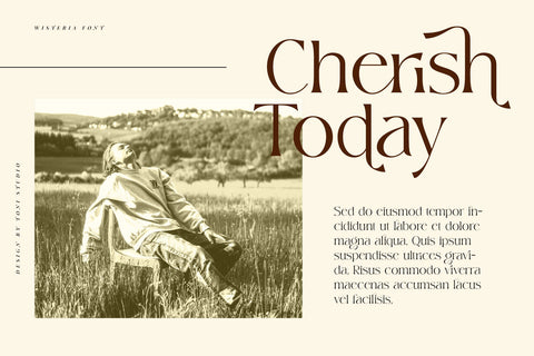 Wisteria Font toni_std 