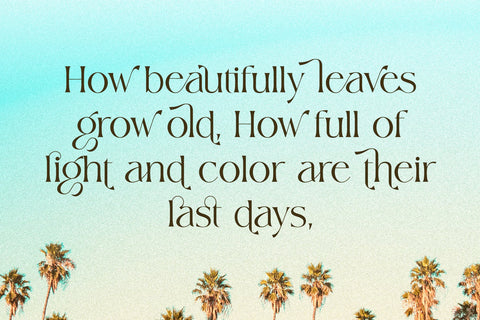 Wisteria Font toni_std 