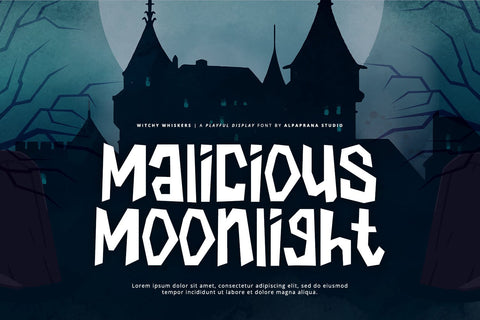 Witchy Whiskers - Playful Font Font Alpaprana Studio 