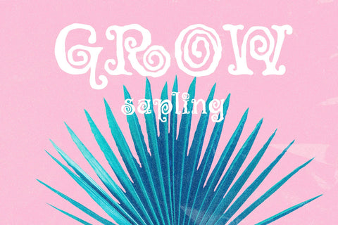 Witzard Font BB Digital Arts 