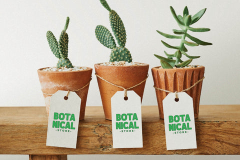 Wobblezz Typeface Font Storytype Studio 