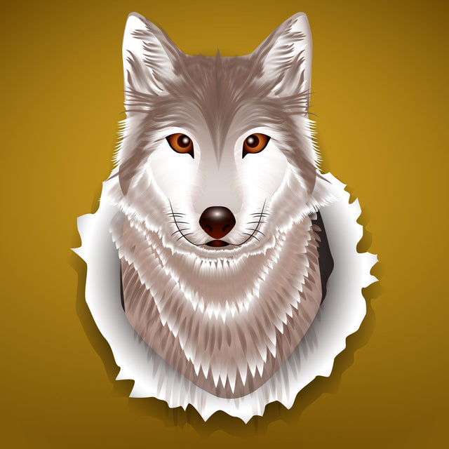 Wolf animal face. Scary grey wolf head. Realistic fur gray wild wolf portrait on yellow background. SVG naemmiah021 