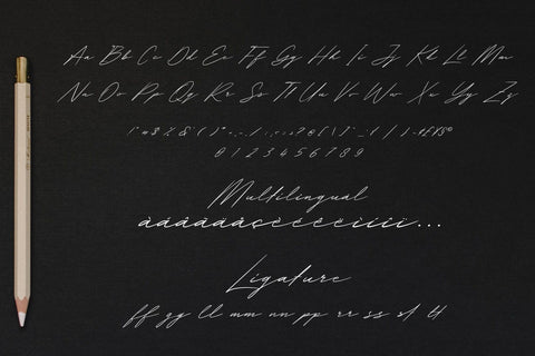 Wolvertton Signature | Authentic Signature Font Font Katario Studio 