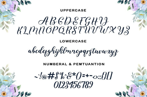 Womly Queen Font WsStudio 