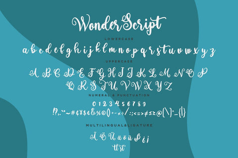Wonder Script Fun Calligraphy Font Creatype Studio 