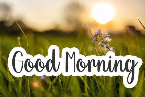 Wonderfuls Font Abo Daniel Studio 