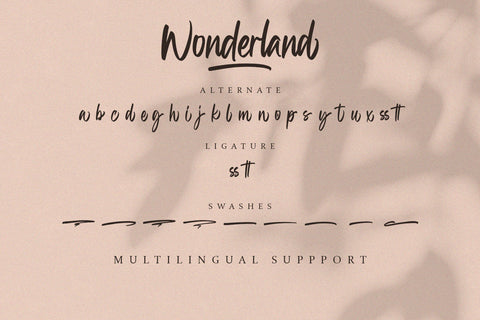 Wonderland - Handwritting Font Font Alpaprana Studio 