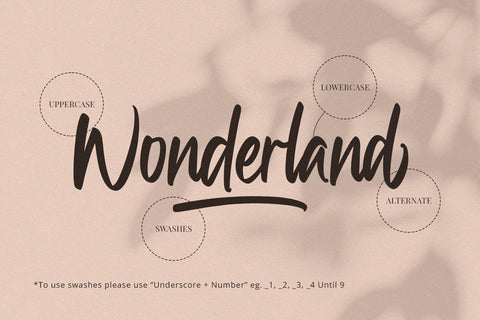Wonderland - Handwritting Font Font Alpaprana Studio 