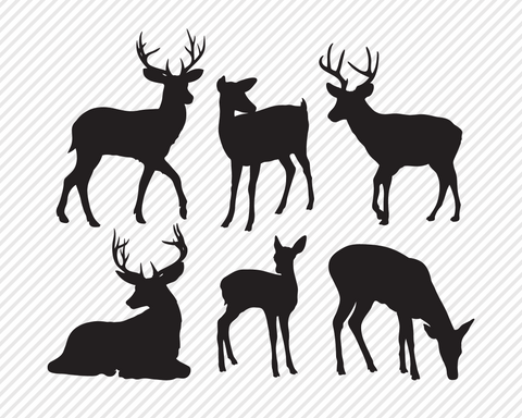 Woodland Animal Super Bundle | Outdoor SVG SVG Texas Southern Cuts 