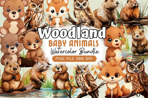 Woodland Baby Animals clipart bundle Sublimation Regulrcrative 