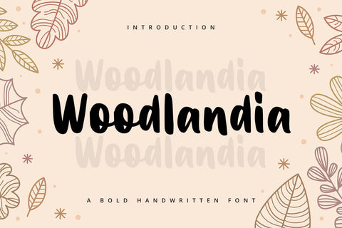 Woodlandia - Handwritten Font Font Alpaprana Studio 