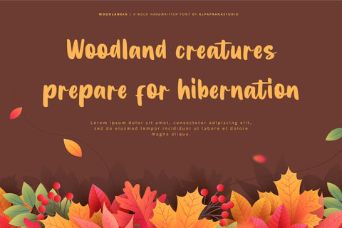 Woodlandia - Handwritten Font Font Alpaprana Studio 