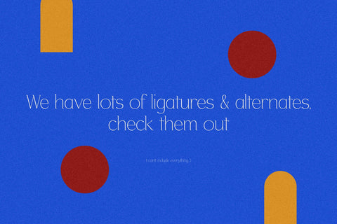 Wordefta Typeface Font Storytype Studio 