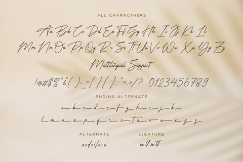 Writesign Font Allouse.Studio 