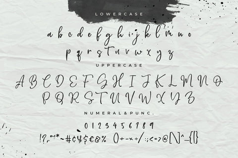 Wyaletta Signature Script Font Creatype Studio 